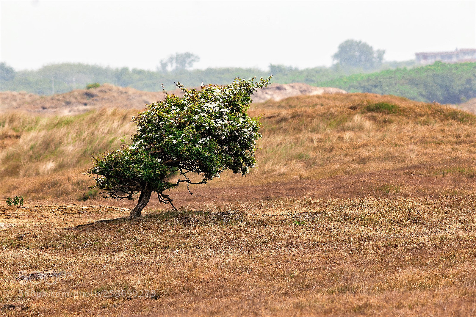Canon EOS 6D sample photo. Solleveld photography