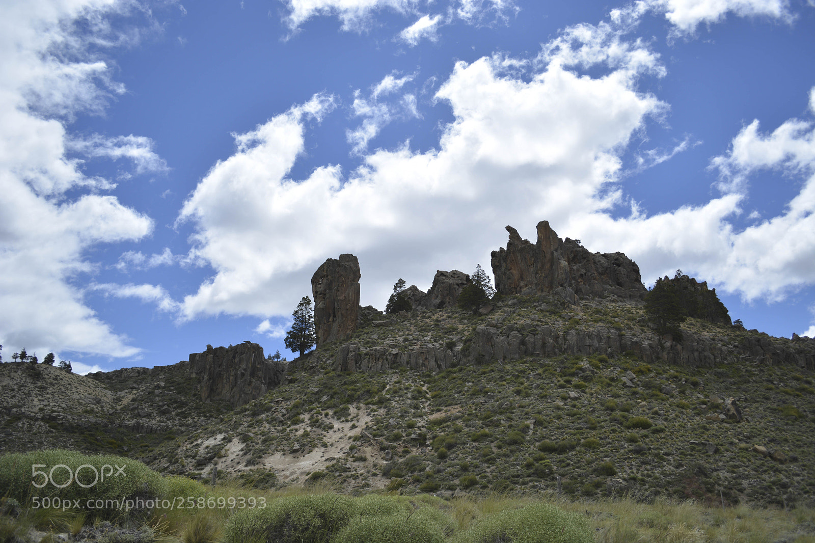 Nikon D5200 sample photo. Morro photography