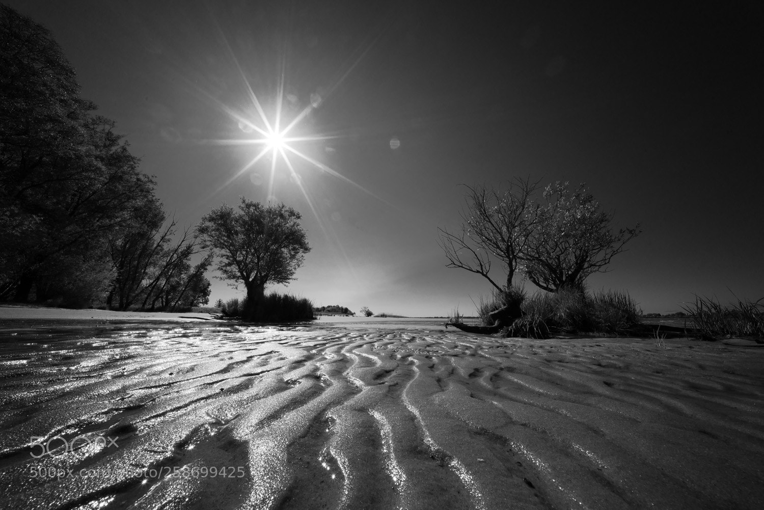 Sony a7R sample photo. Sunny weekend photography