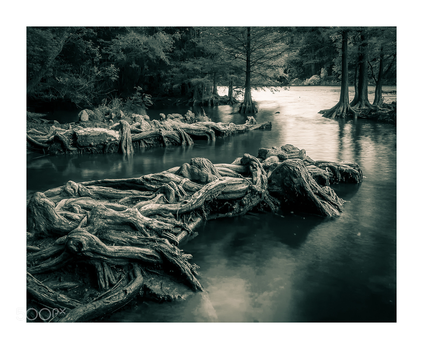 Nikon D300 sample photo. Riverbank photography