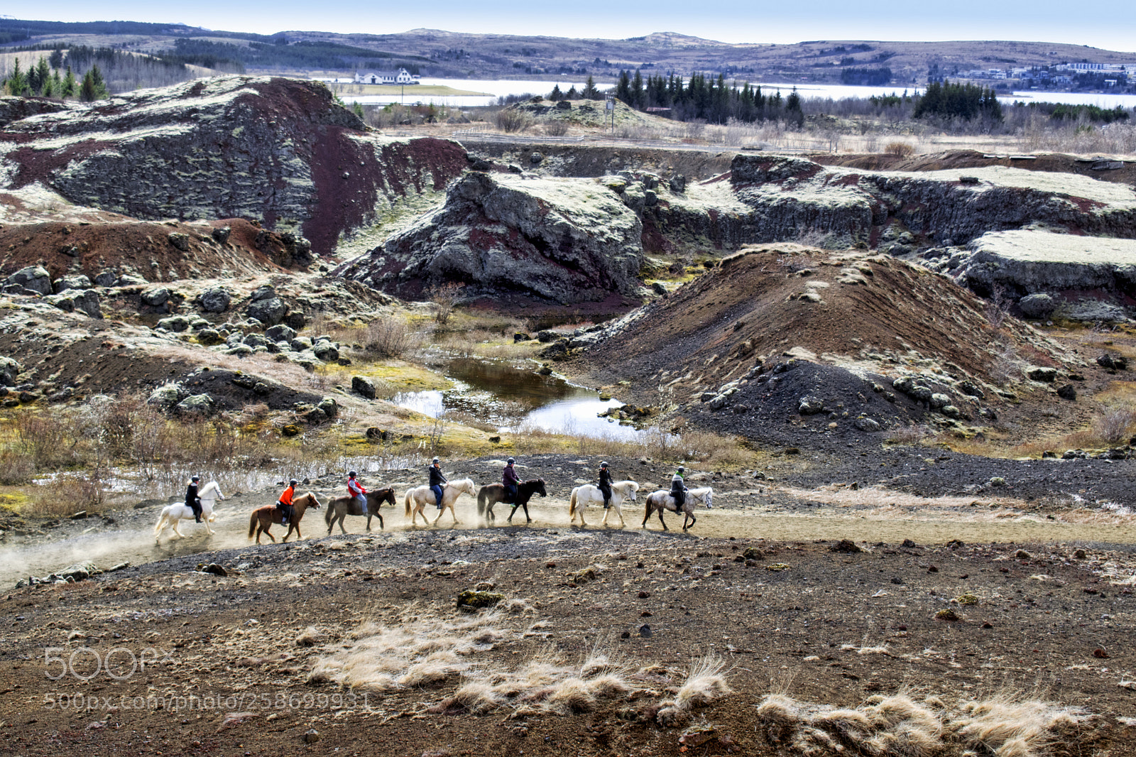 Nikon D3300 sample photo. Horse riding in hei photography