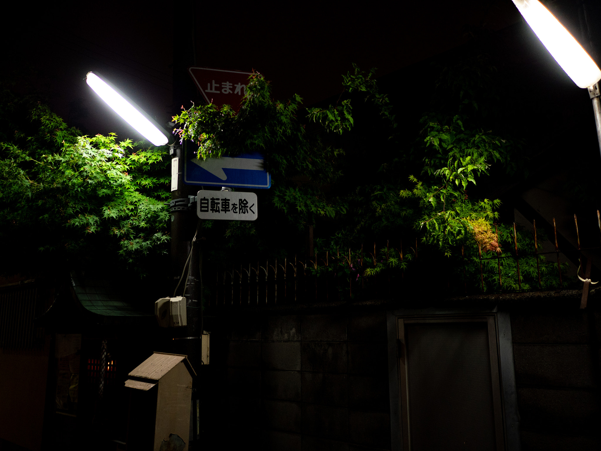 Panasonic DC-GX7MK3 sample photo