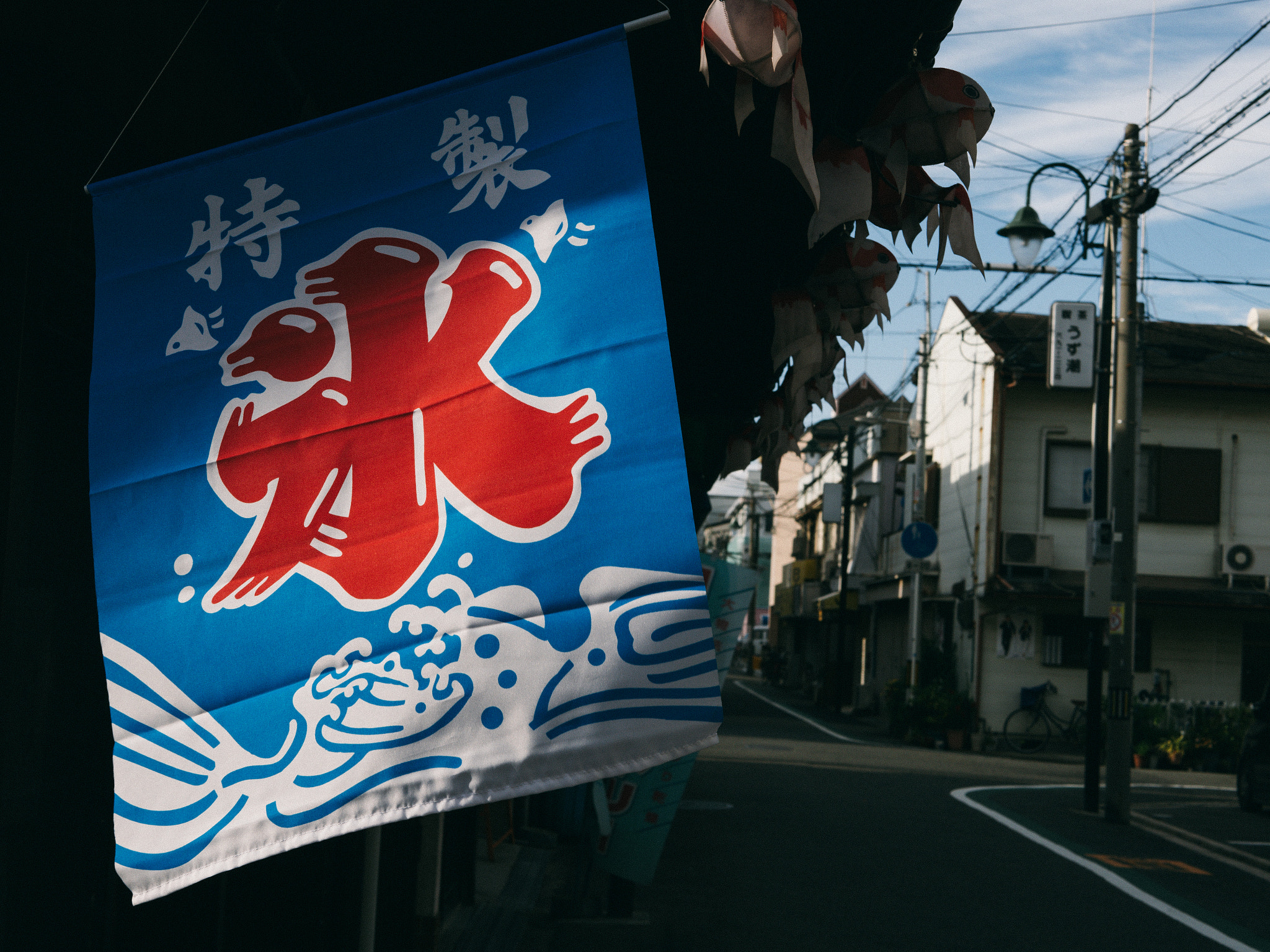 Panasonic DC-GX7MK3 sample photo
