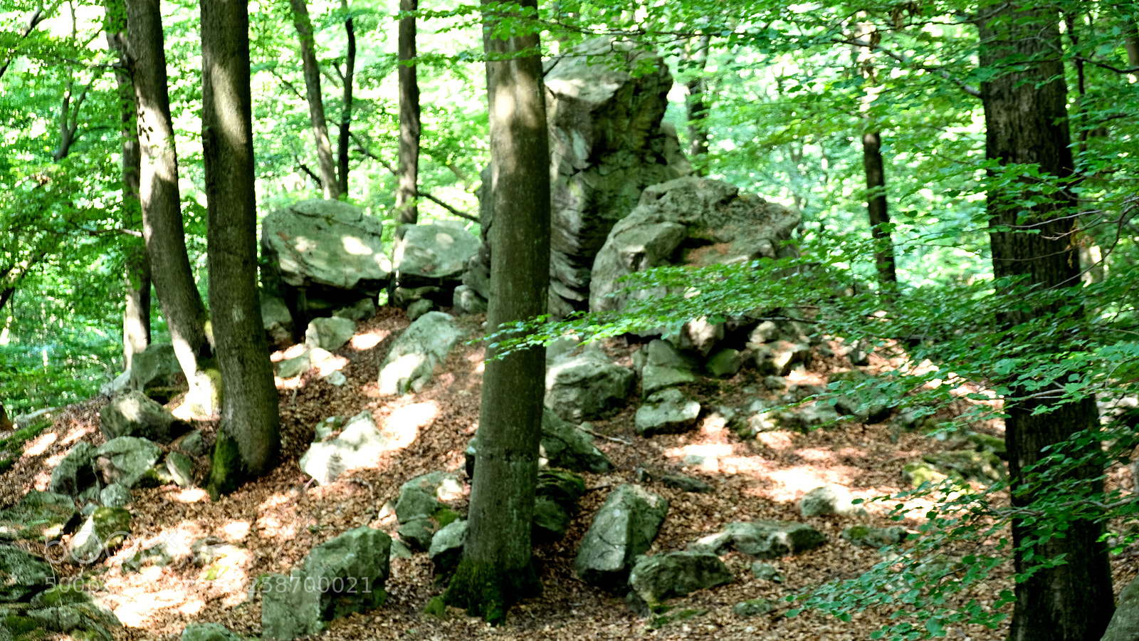 Fujifilm X-T20 sample photo. Malberg, westerwald/germany photography