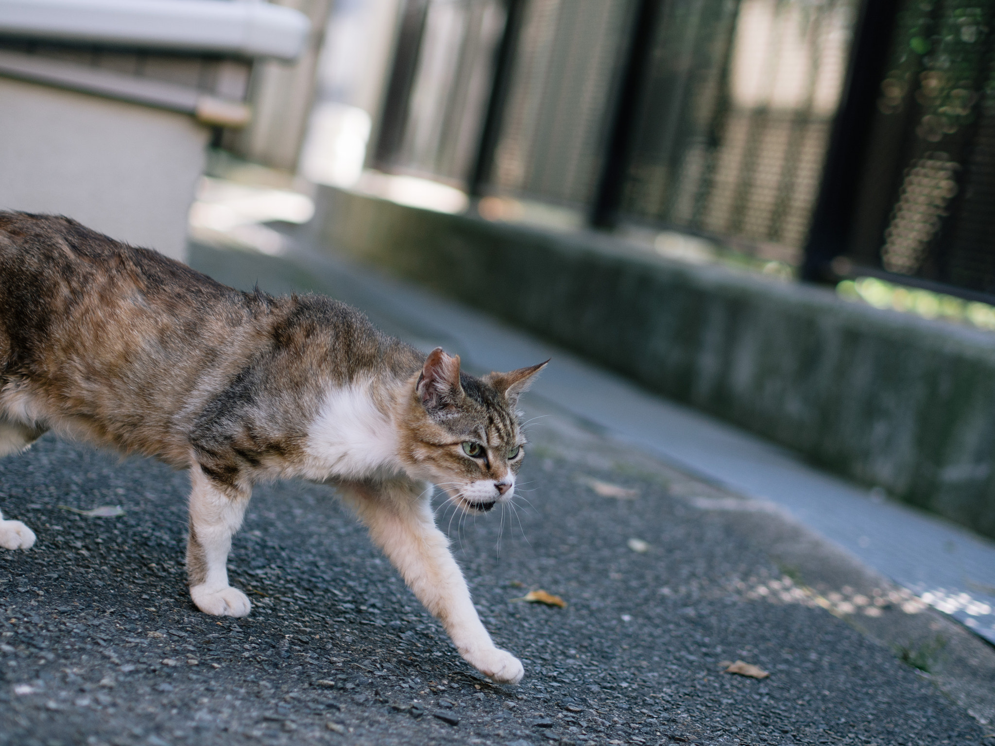 Olympus PEN E-PL5 sample photo