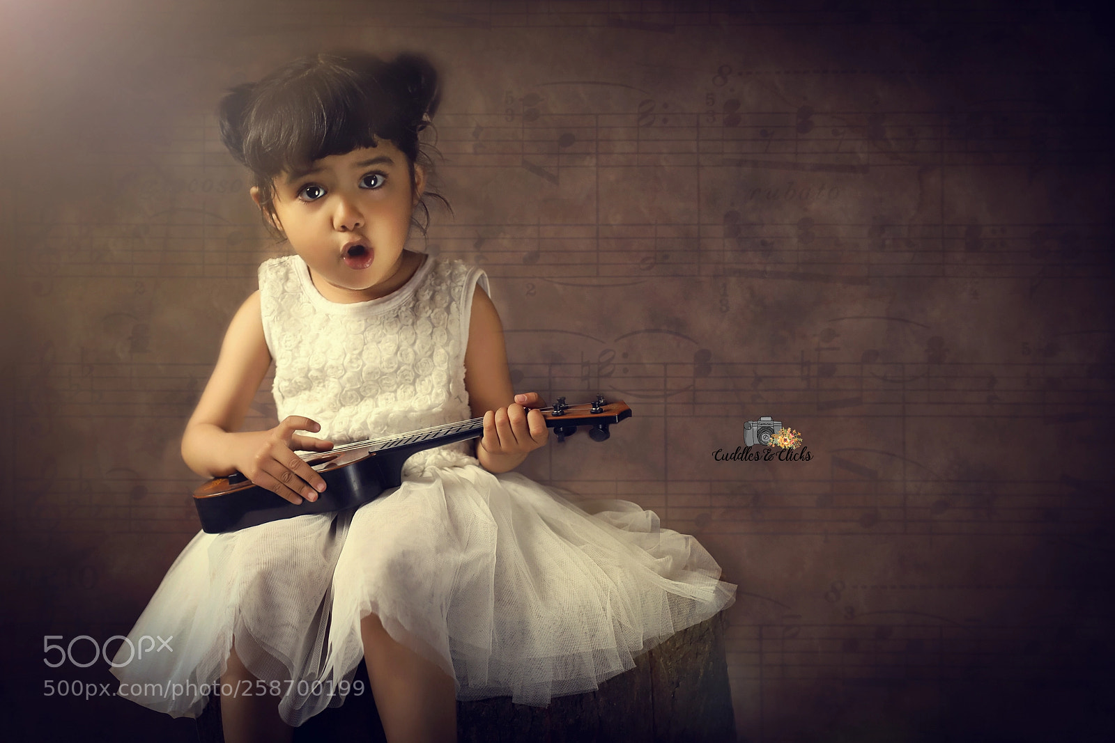 Canon EOS 6D Mark II sample photo. Nightingale photography