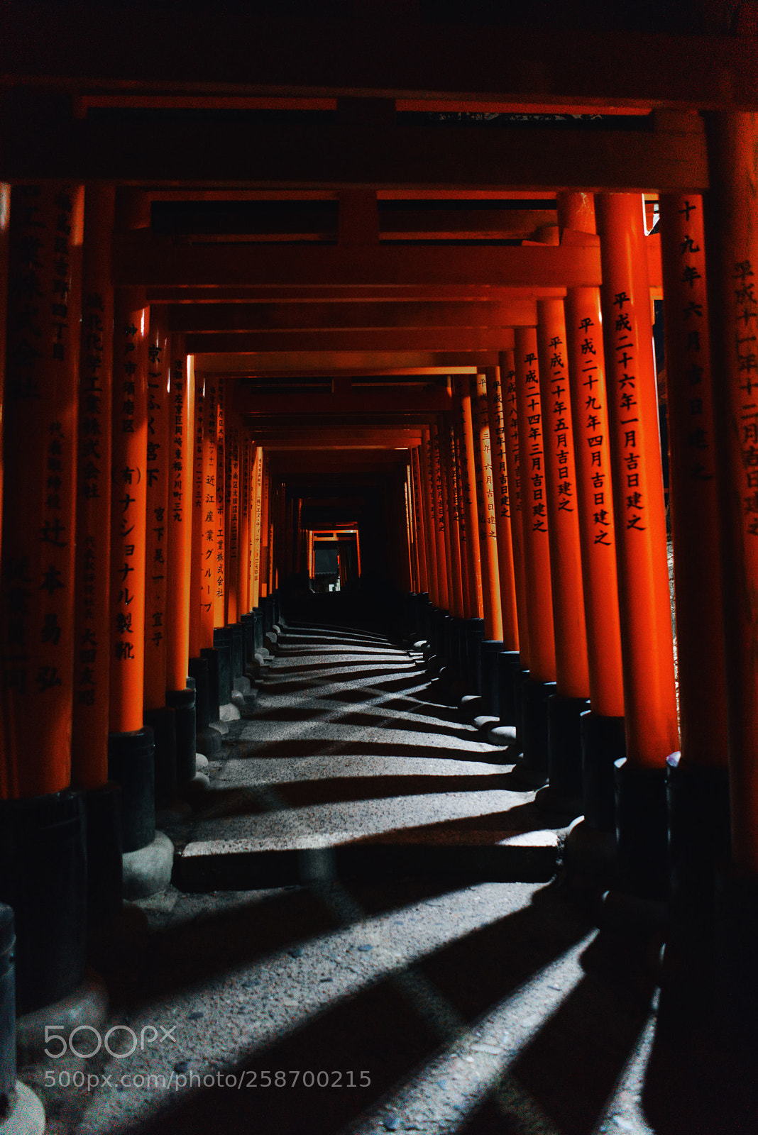 Sony a7R III sample photo. Shadows at the fushimi photography