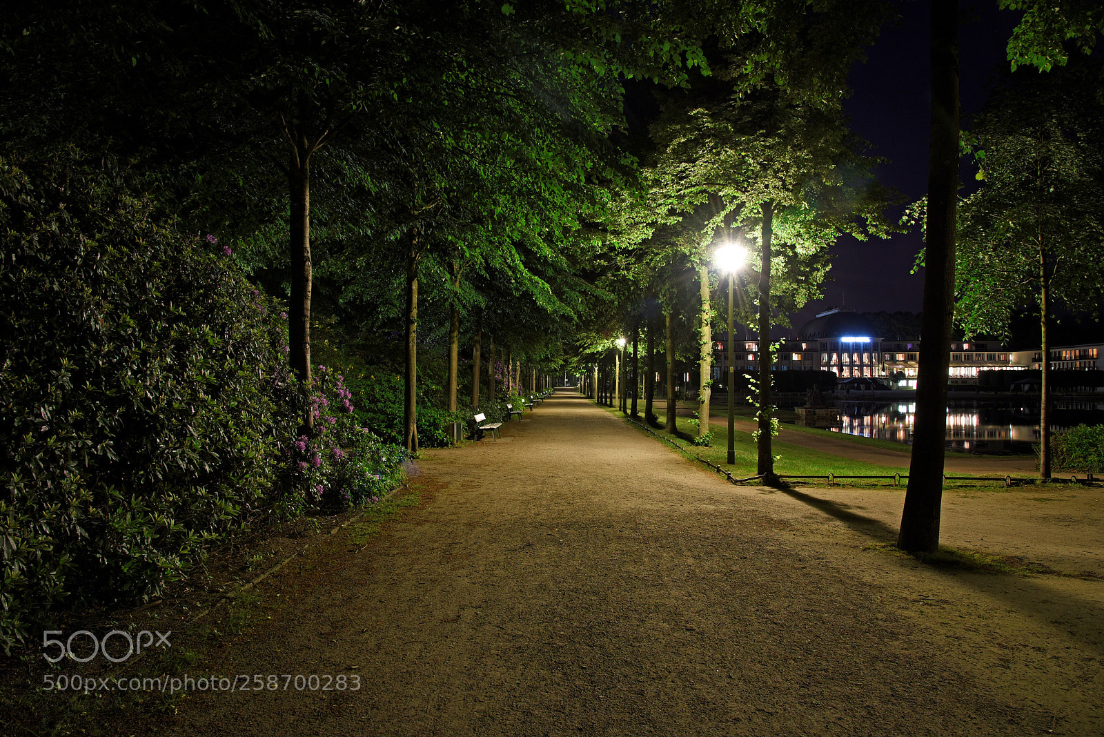 Nikon D750 sample photo. Bremen park hotel photography