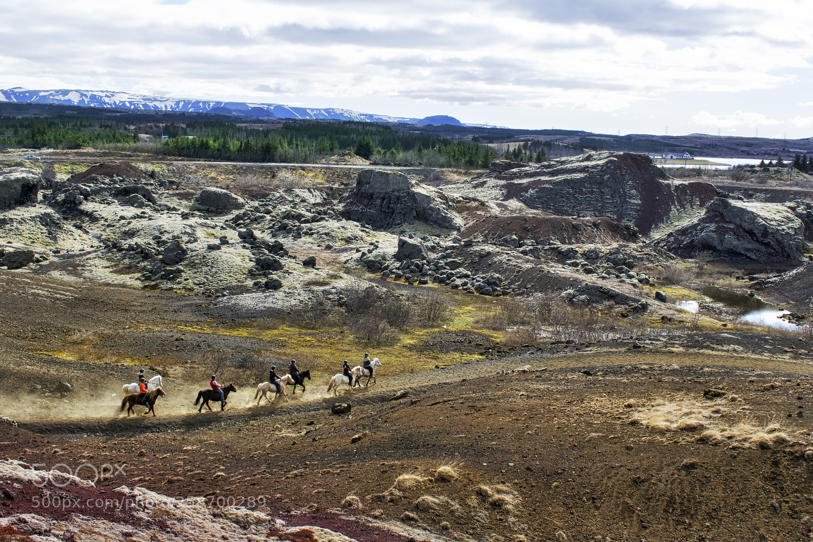 Nikon D3300 sample photo. Horse riding in hei photography