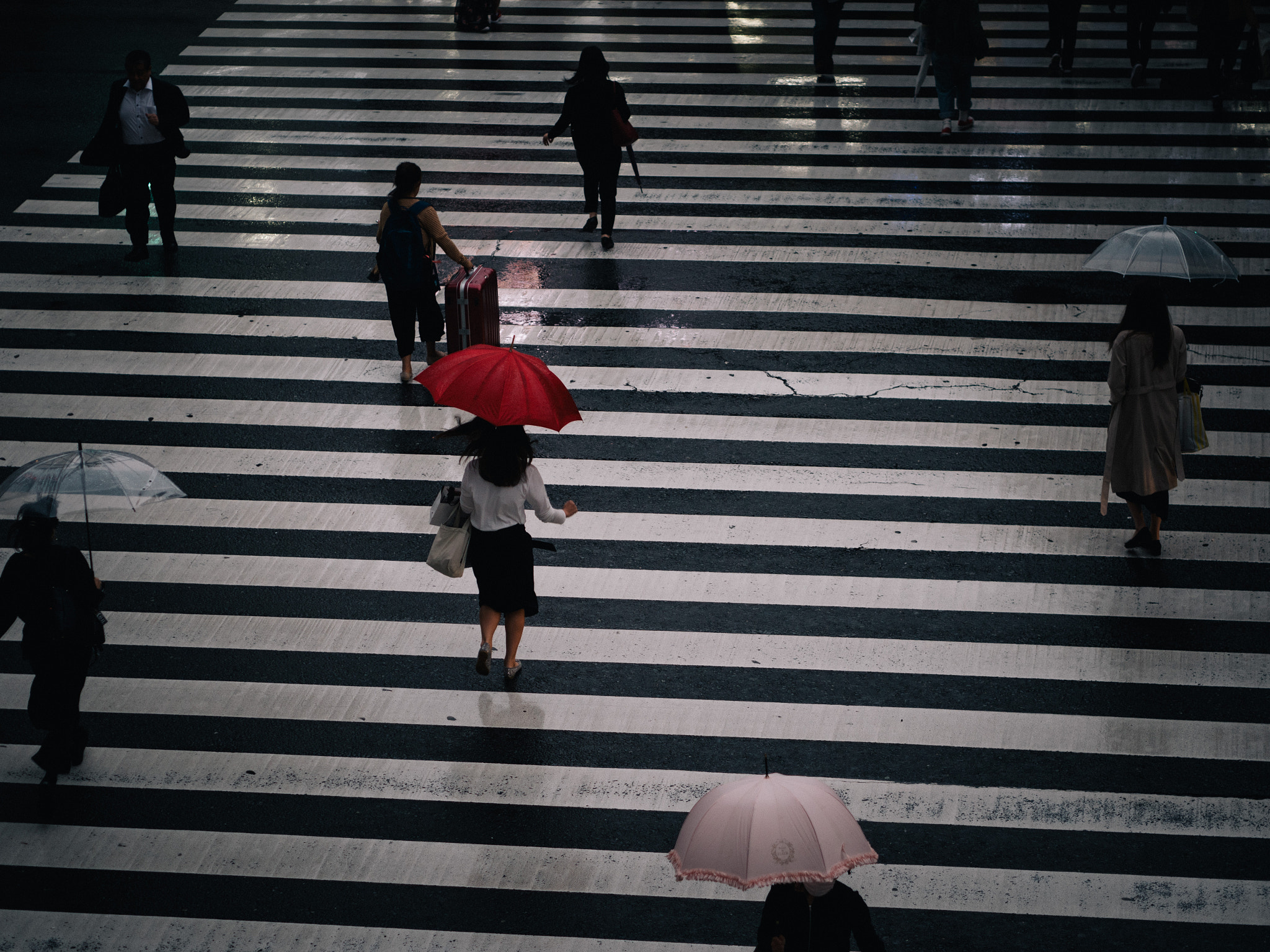 Panasonic DC-GX7MK3 sample photo