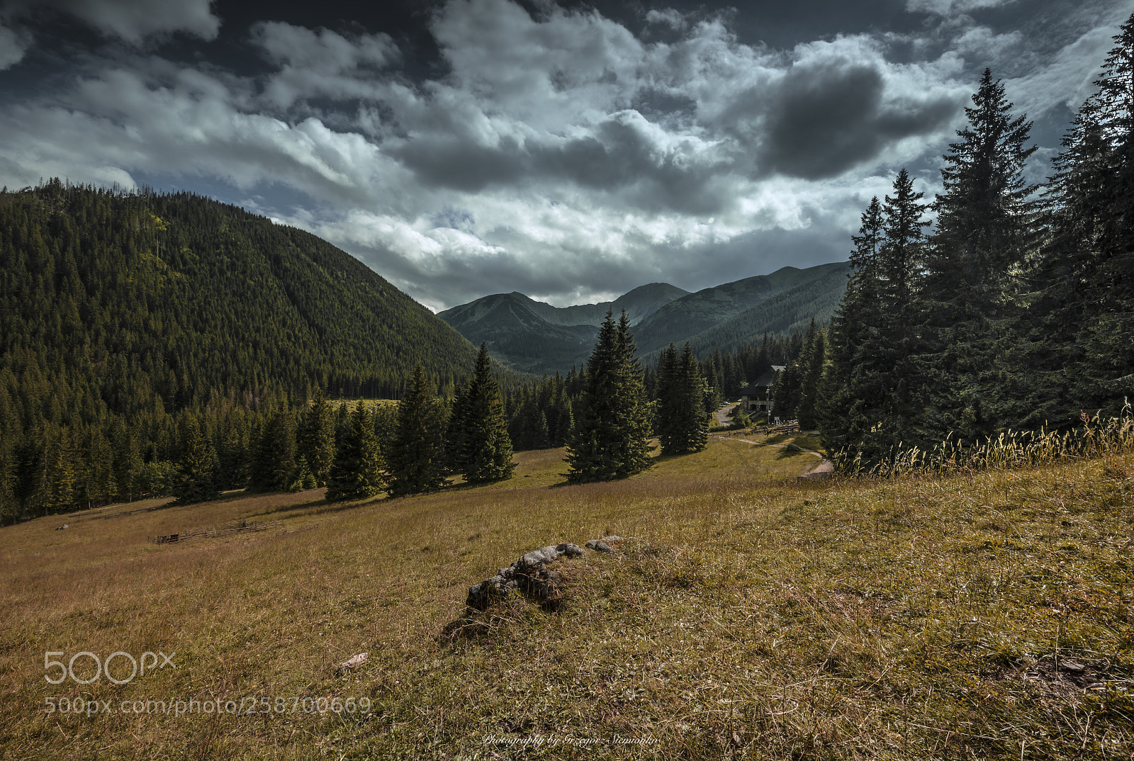 Nikon D810 sample photo. Tatry dolina chochołowska. photography
