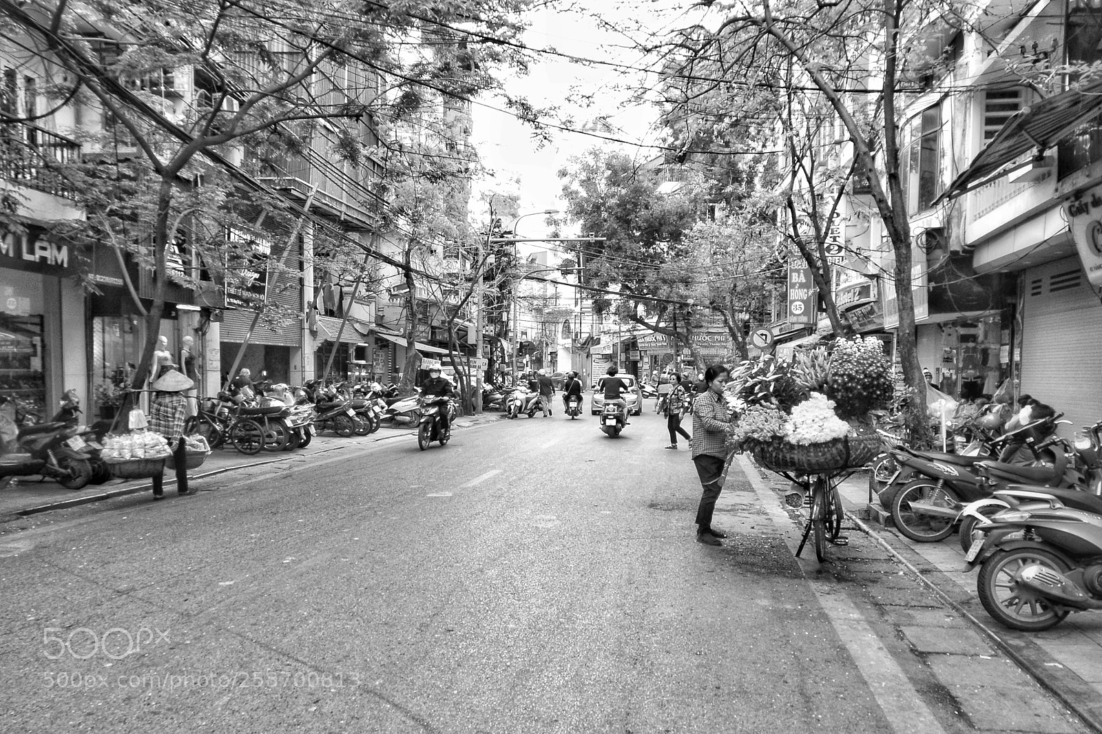 Nikon D7100 sample photo. Untitled photography