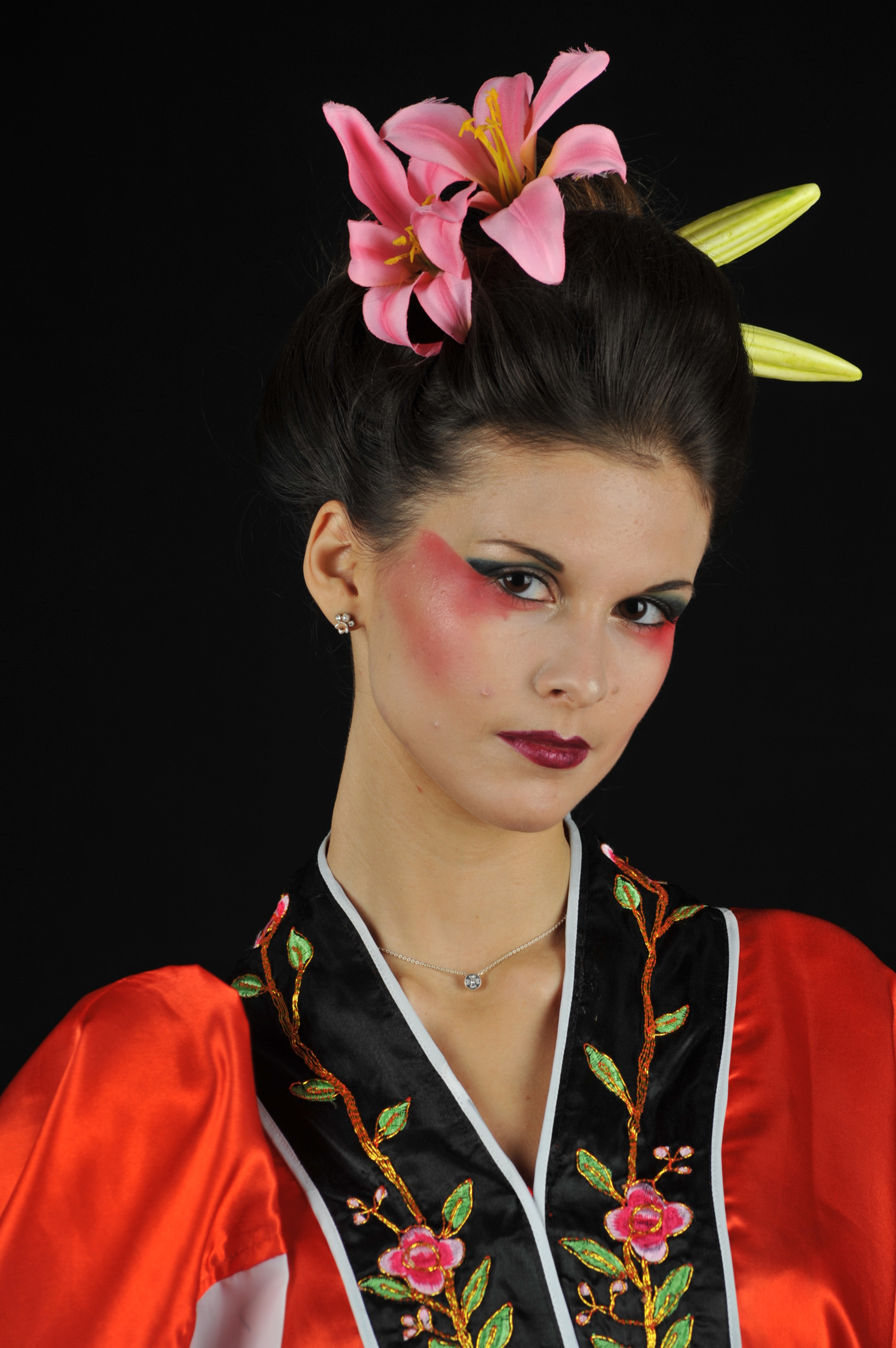 AF Zoom-Nikkor 70-300mm f/4-5.6D ED sample photo. Geisha mood photography