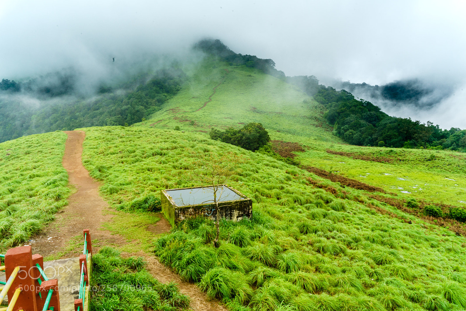 Sony a7R II sample photo. Paithalmala... heaven in earth photography