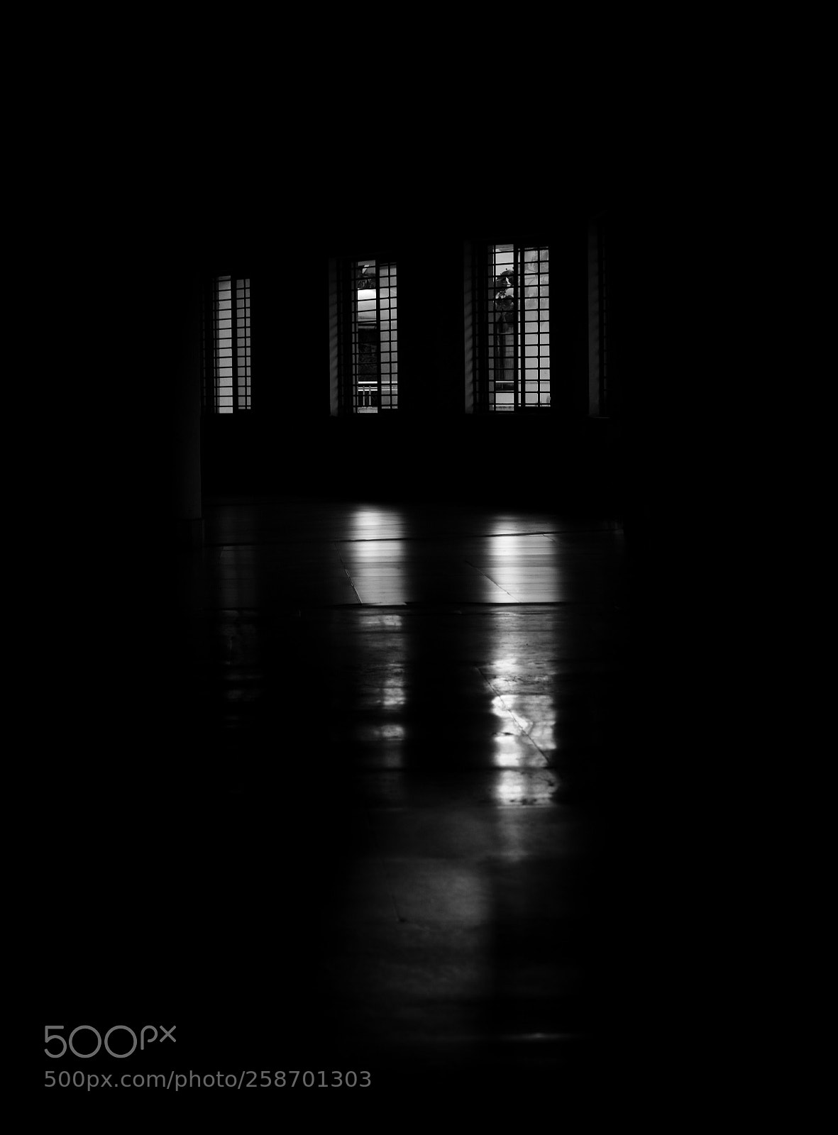 Nikon D3400 sample photo. Windowing photography
