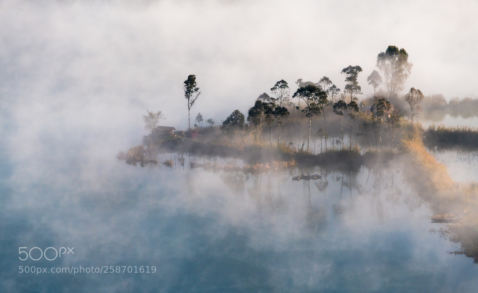 Nikon D850 sample photo. Delta foggy morning  photography