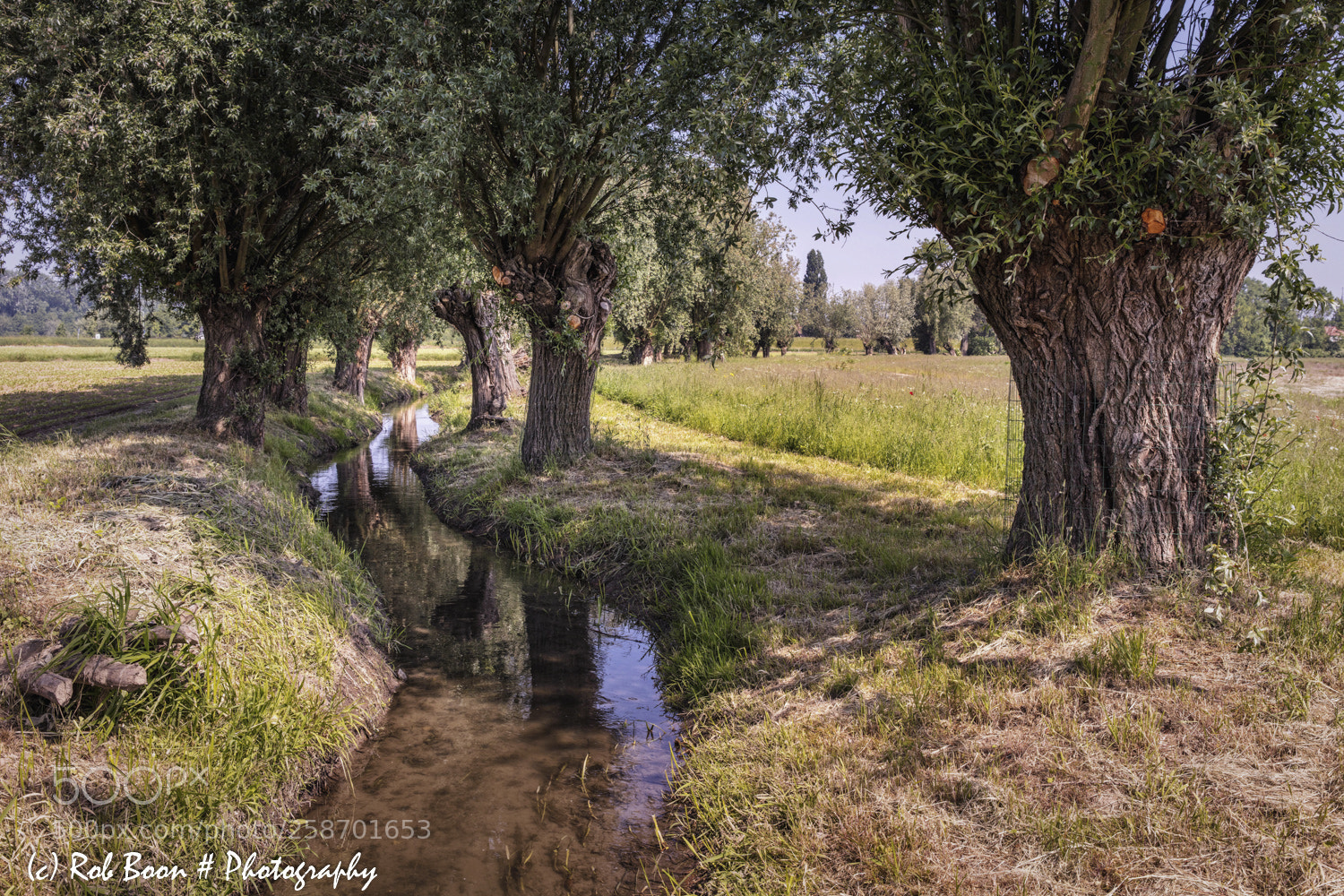 Canon EOS 5DS sample photo. Oude kanjelbeek @ itteren 1 photography