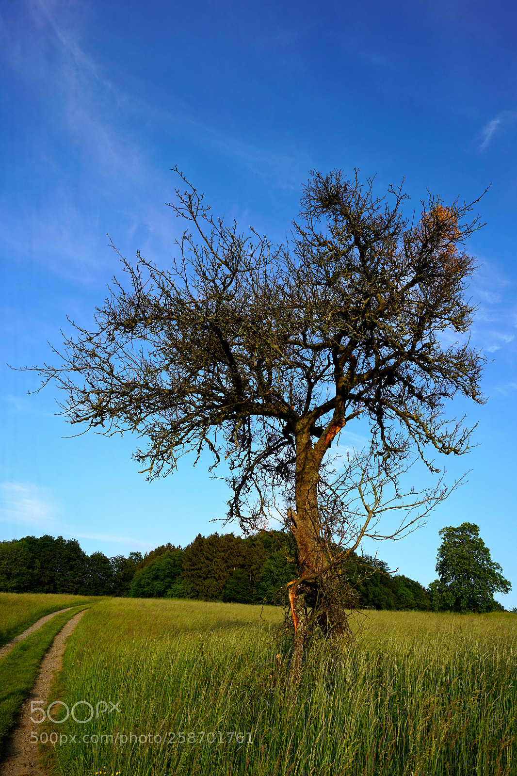 Sony a7R II sample photo. Dsc photography