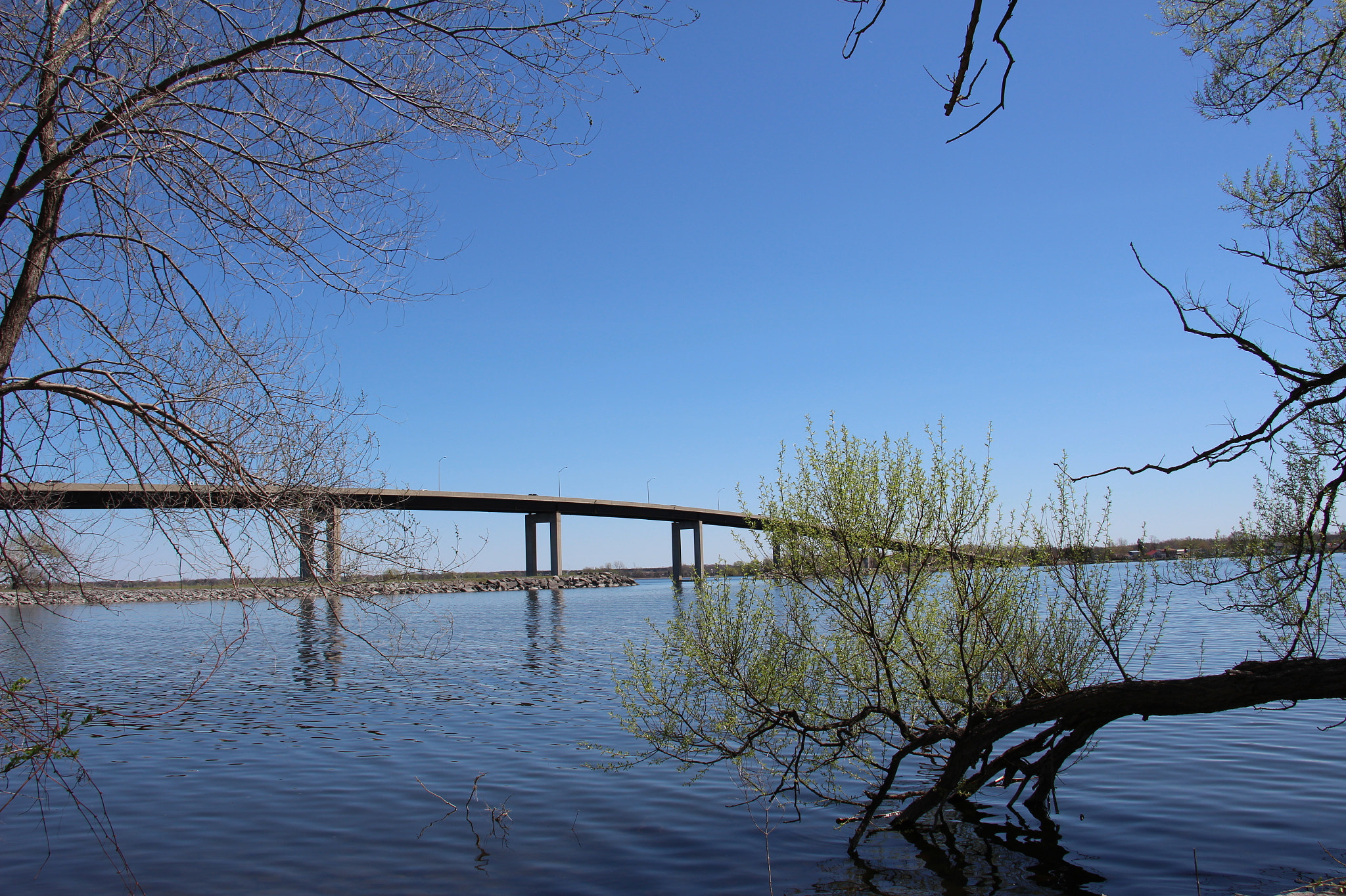 Canon EOS 100D (EOS Rebel SL1 / EOS Kiss X7) sample photo. Belleville, ontario, canada photography