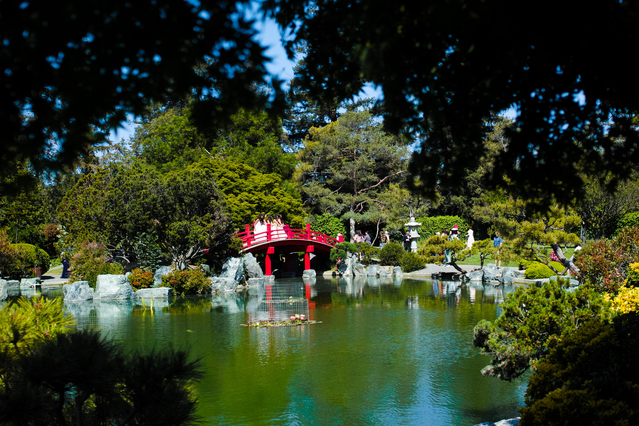 Sigma dp2 Quattro sample photo. Japanese garden photography
