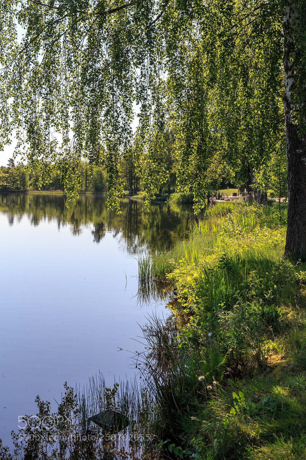 Canon EOS 6D sample photo. Nature photography
