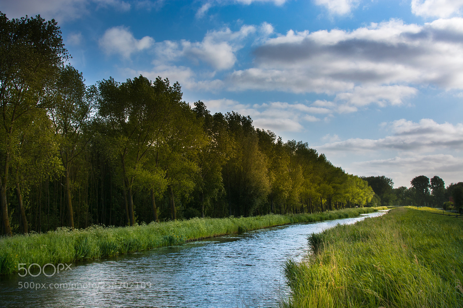 Nikon D5200 sample photo. Beautiful everyday nature photography