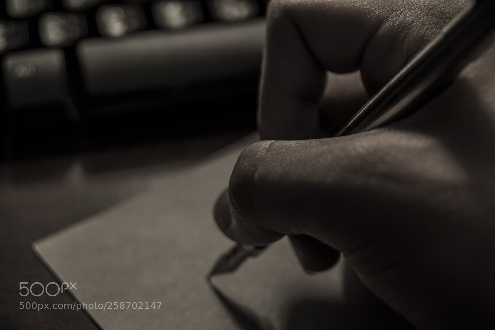 Nikon D7100 sample photo. Untitled photography