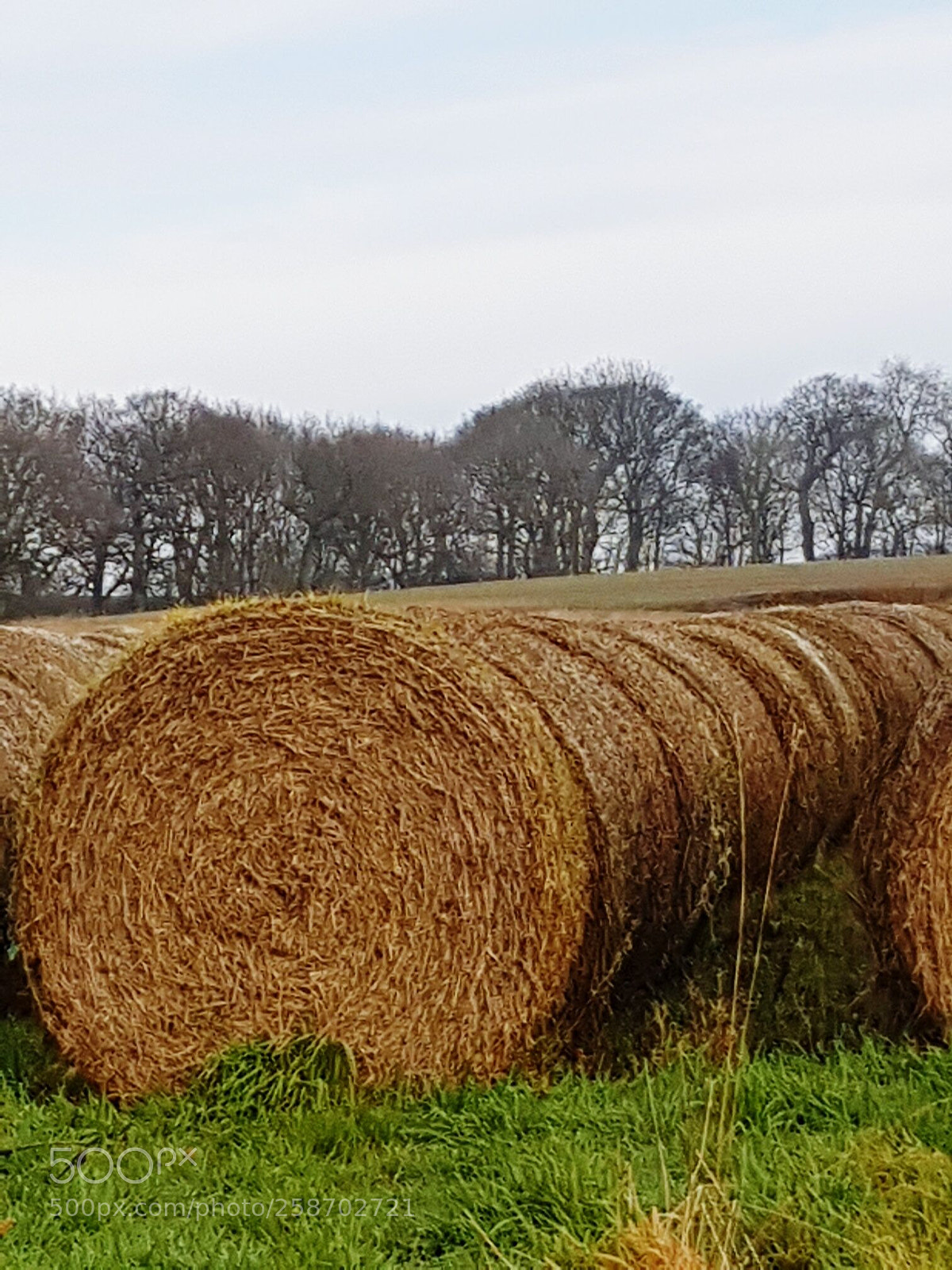 Samsung Galaxy S7 Edge sample photo. Hay bales photography