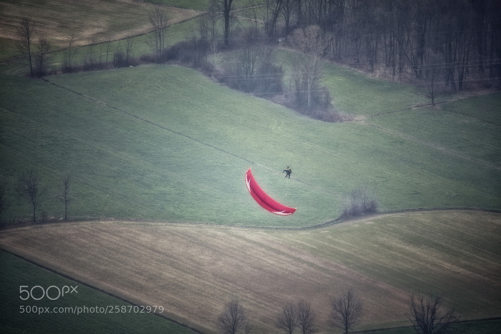 Nikon D500 sample photo. Hurried landing photography