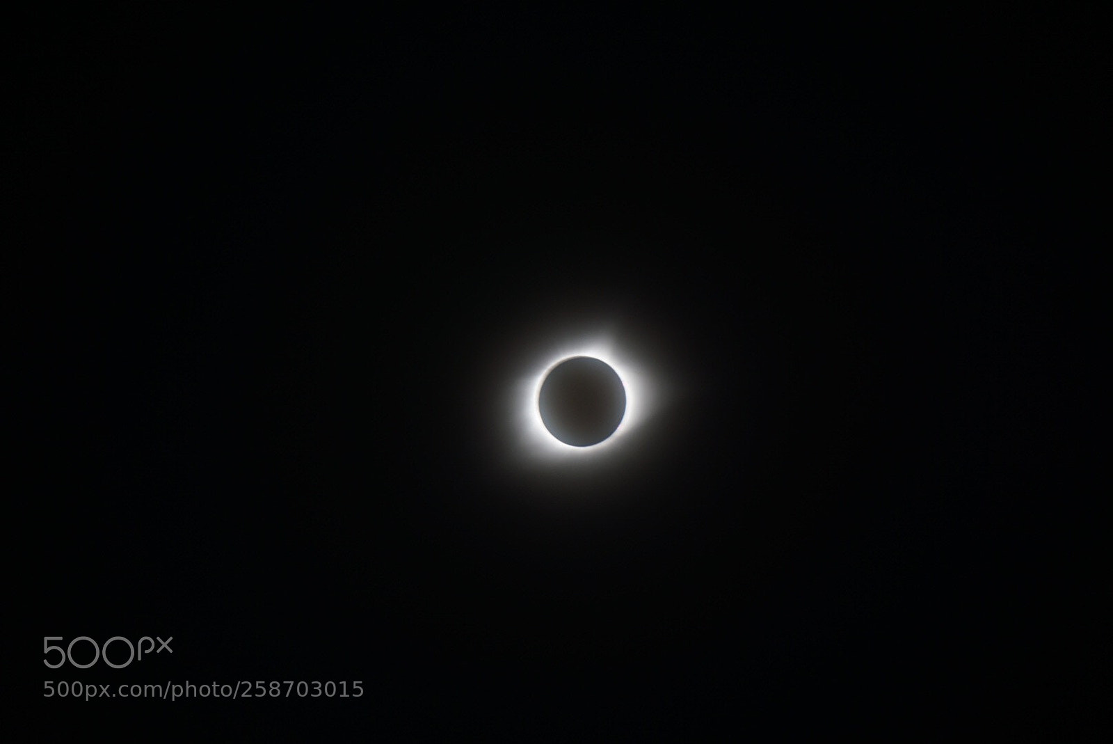 Sony a6000 sample photo. I ll give you photography