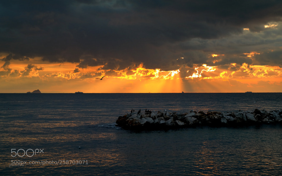 Samsung NX300 sample photo. ... photography