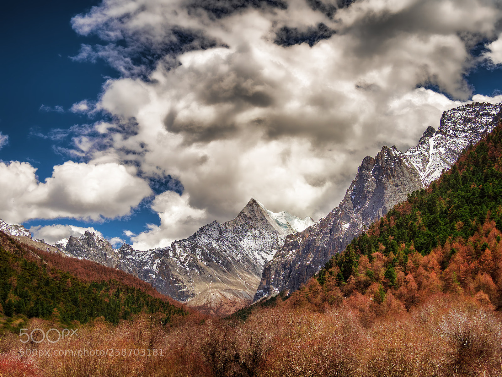 Olympus OM-D E-M1 Mark II sample photo. Yading nature reserve of photography