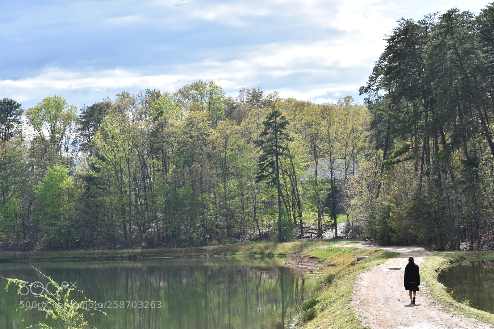 Nikon D3400 sample photo. La senda photography