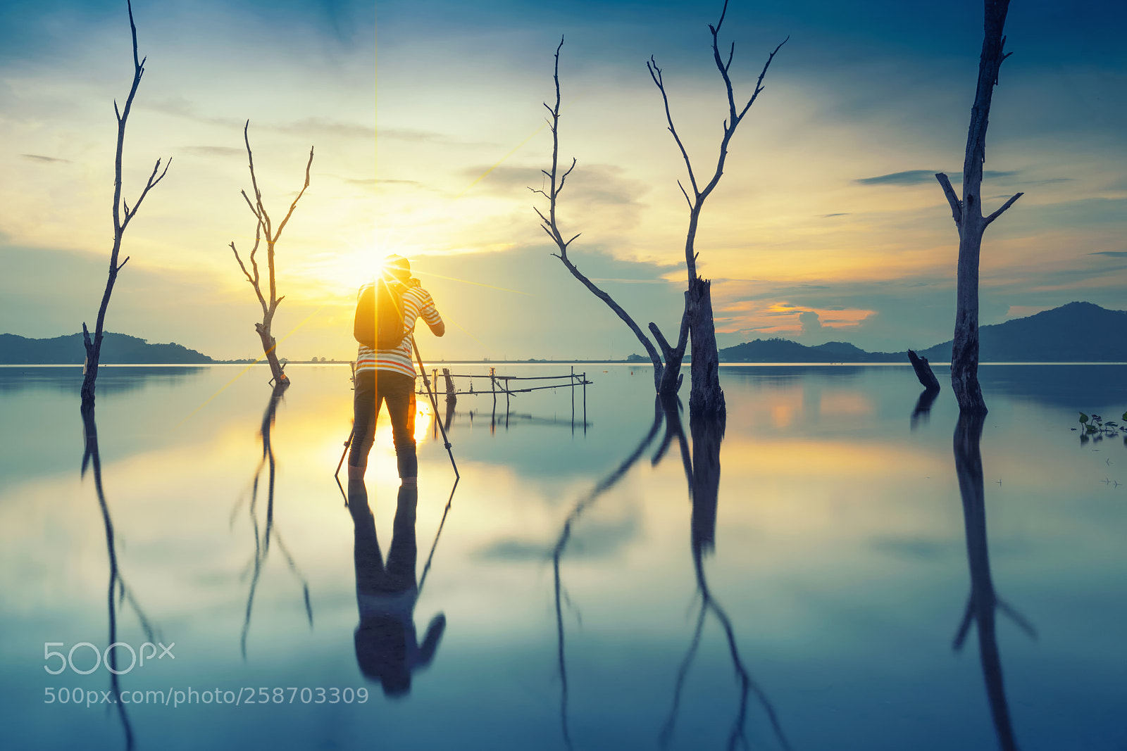 Nikon D850 sample photo. Silhouette of a photographer photography
