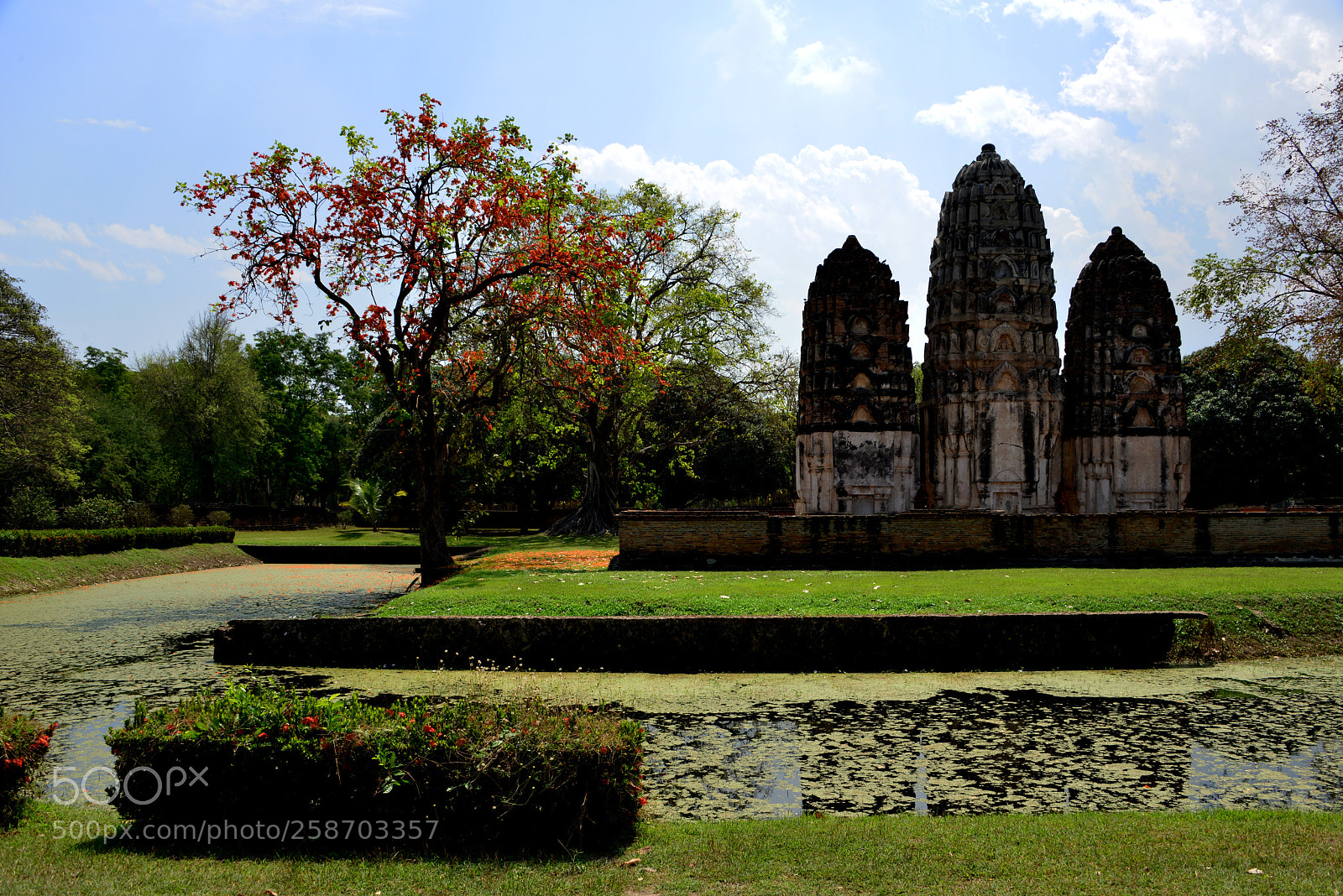 Nikon D800 sample photo. Wat sawai in sukothai photography