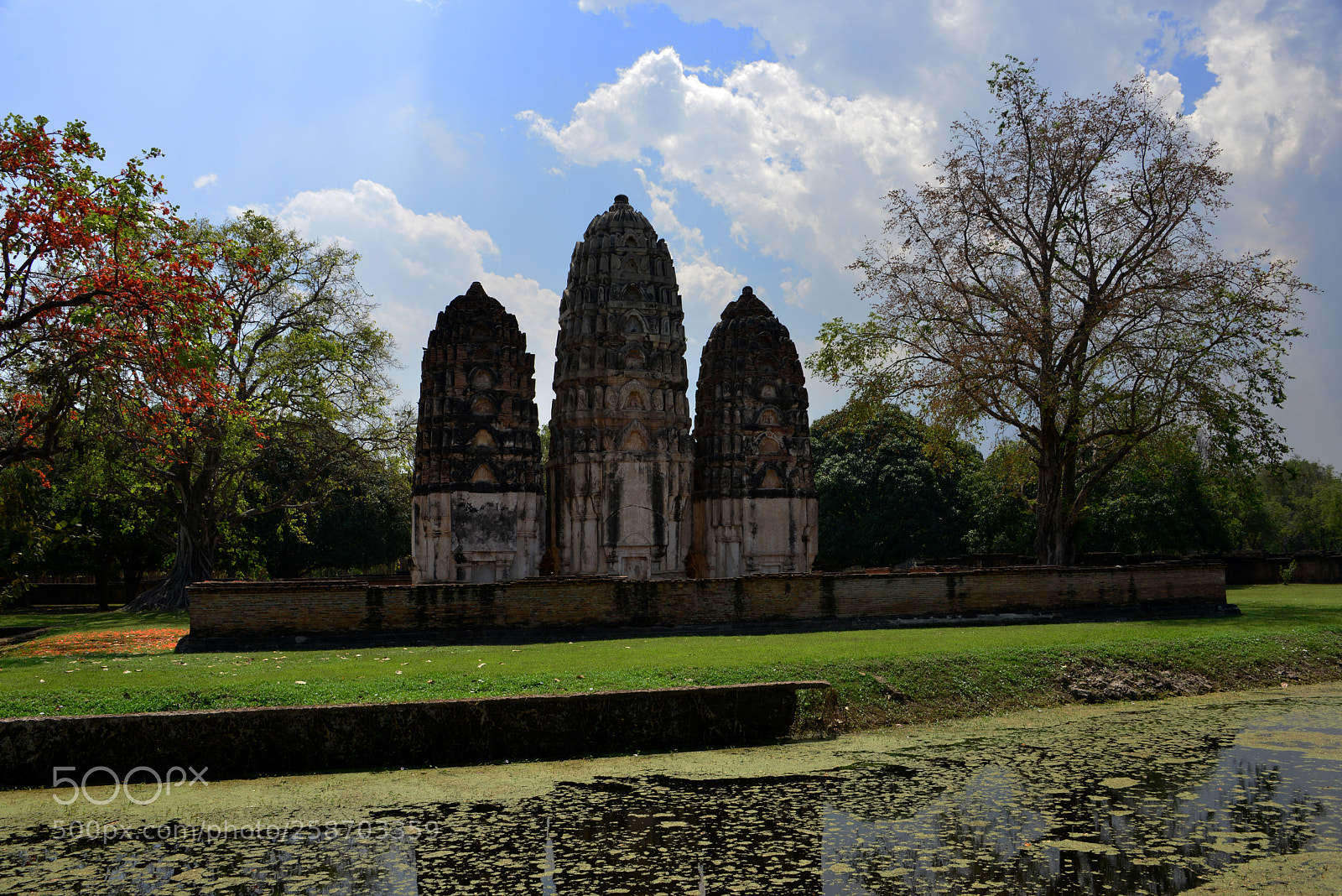 Nikon D800 sample photo. Wat sawai in sukothai photography