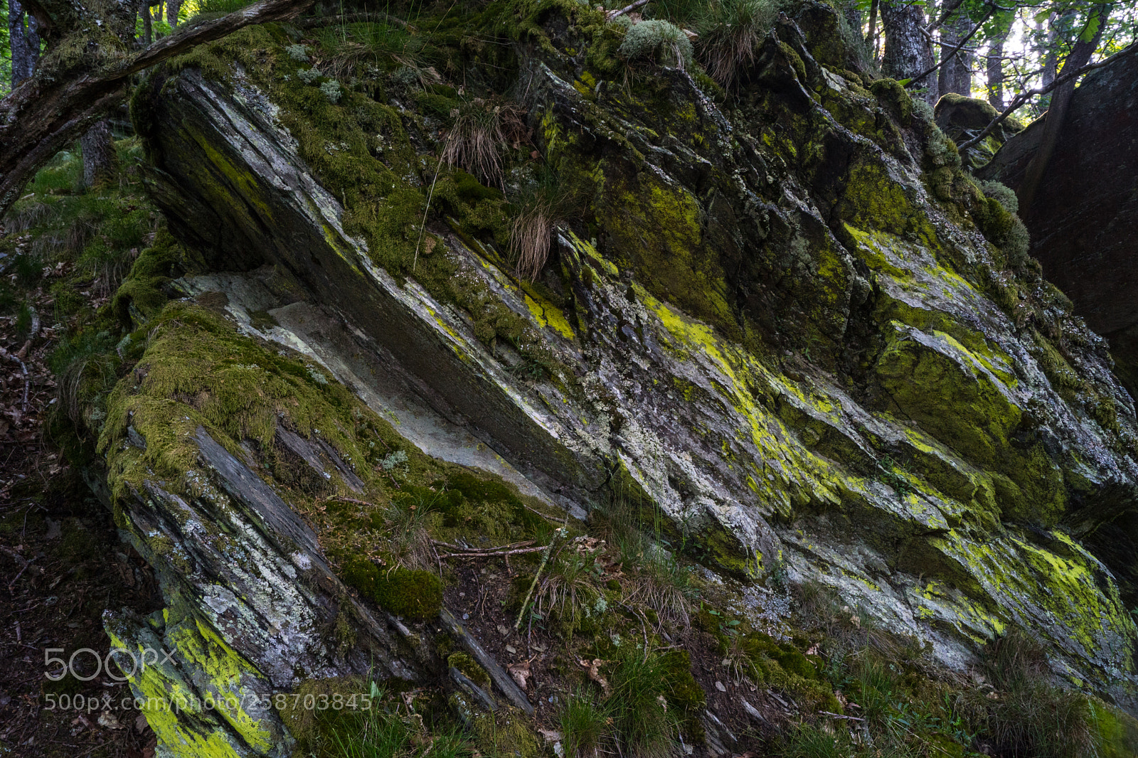 Sony SLT-A68 sample photo. Steine mit moos photography