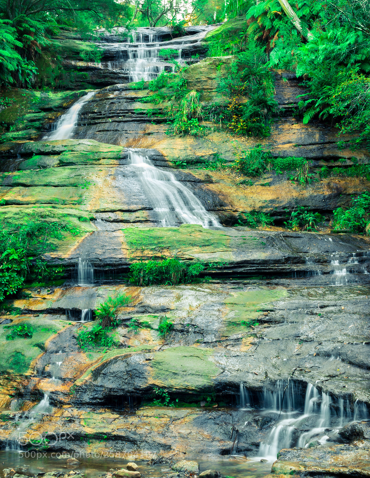 Nikon D5300 sample photo. Katoomba cascade in winter photography