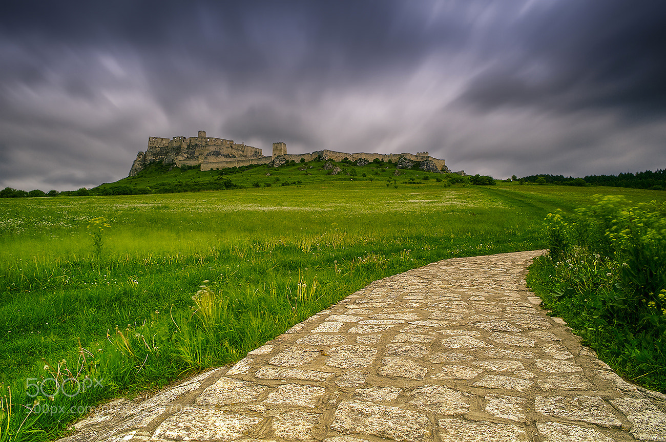 Nikon D300S sample photo. Spisky hrad photography