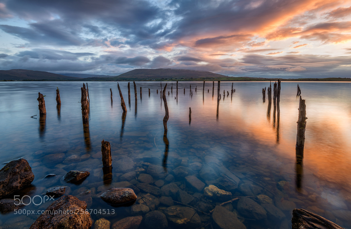 Nikon D810 sample photo. Lough corrib photography