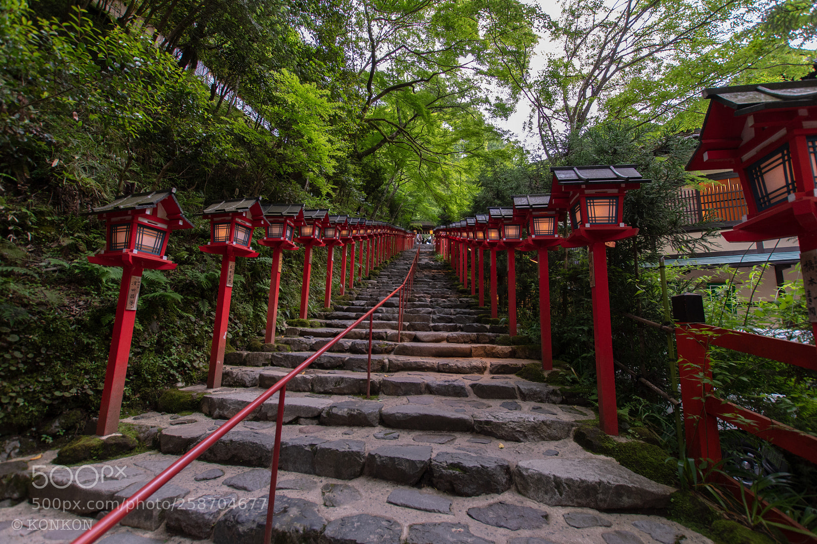 Nikon D7500 sample photo. 貴船神社 登り階段 灯篭 photography