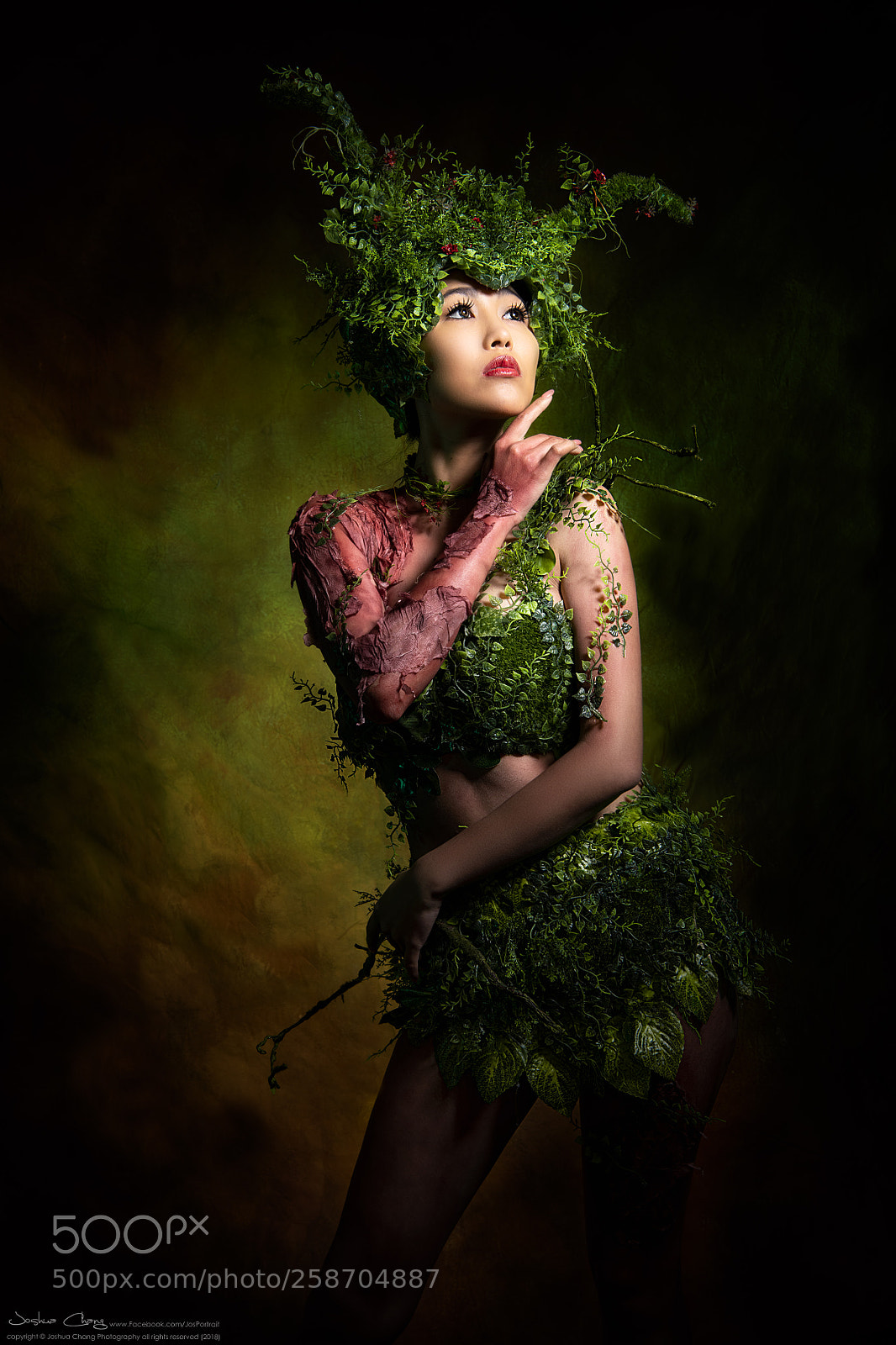 Nikon D850 sample photo. Creative makeup dress photography