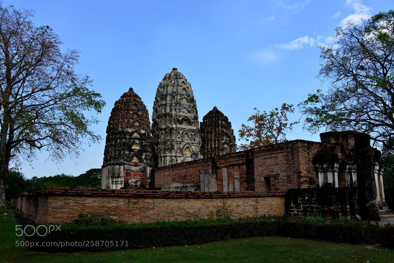 Nikon D800 sample photo. Wat sawai in sukothai photography