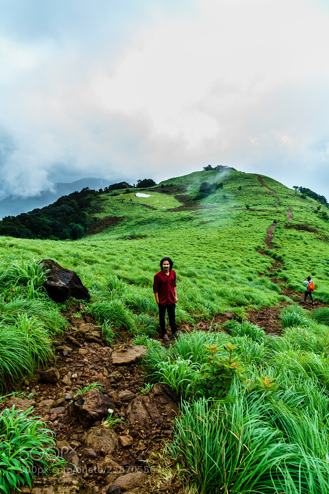 Sony a7R II sample photo. Within nature photography