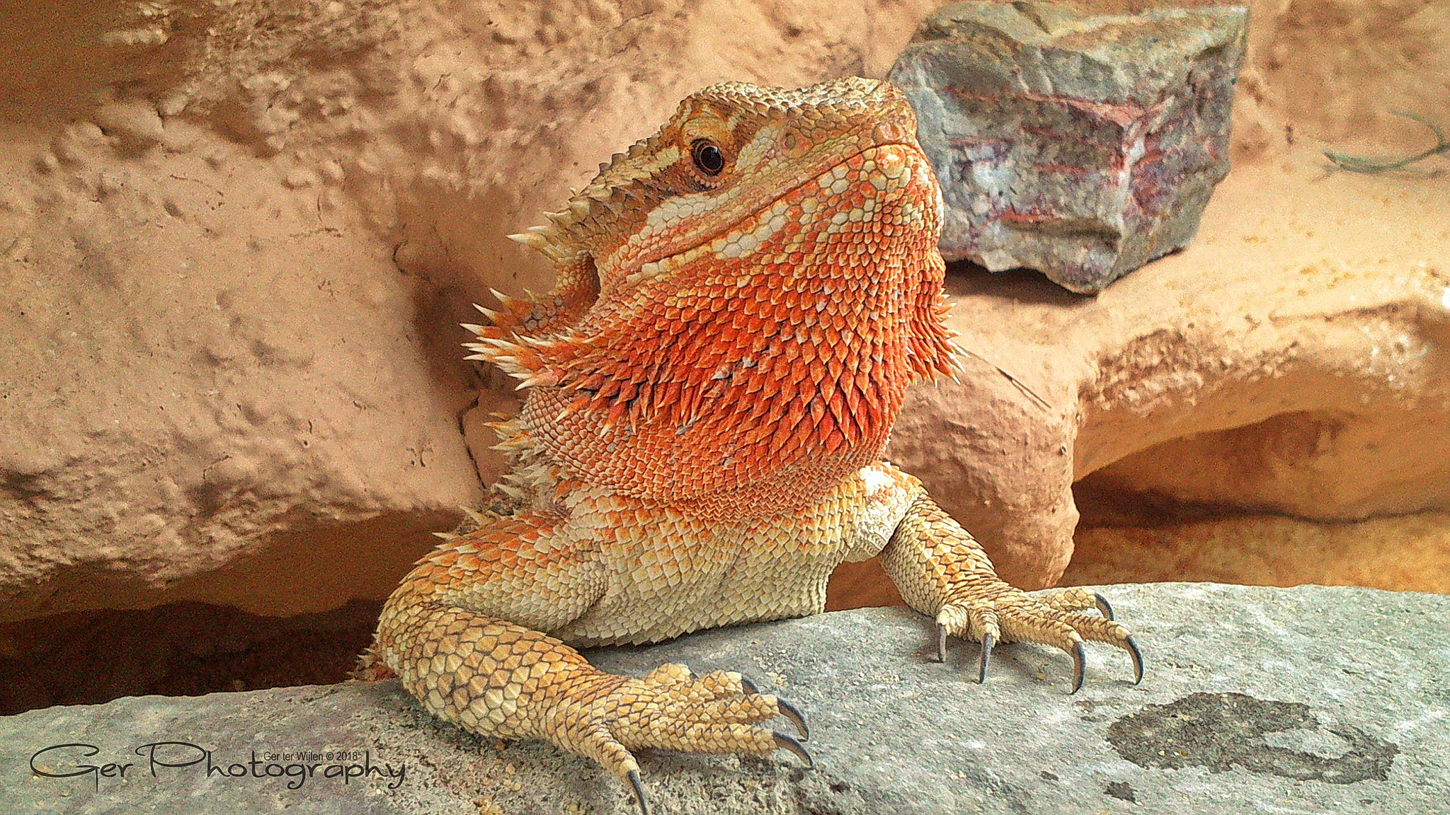 Sony Xperia U sample photo. I'm here photography