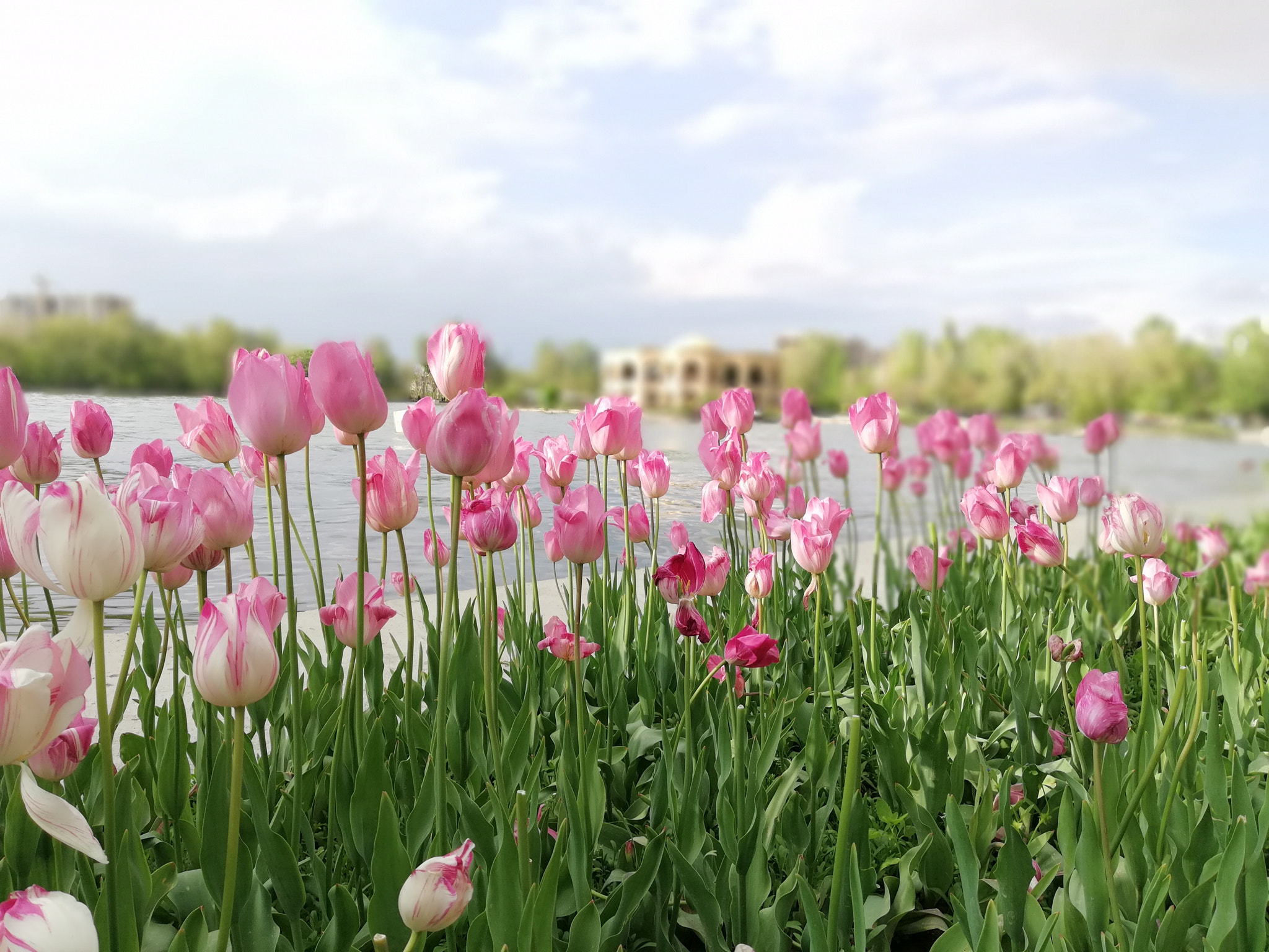 HUAWEI Mate 10 Lite sample photo