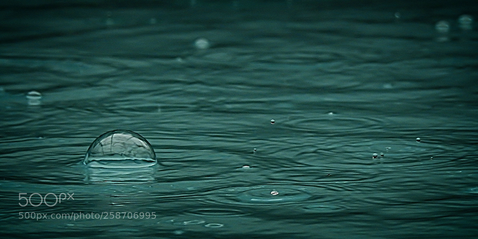 Nikon Coolpix P900 sample photo. Rain on water photography