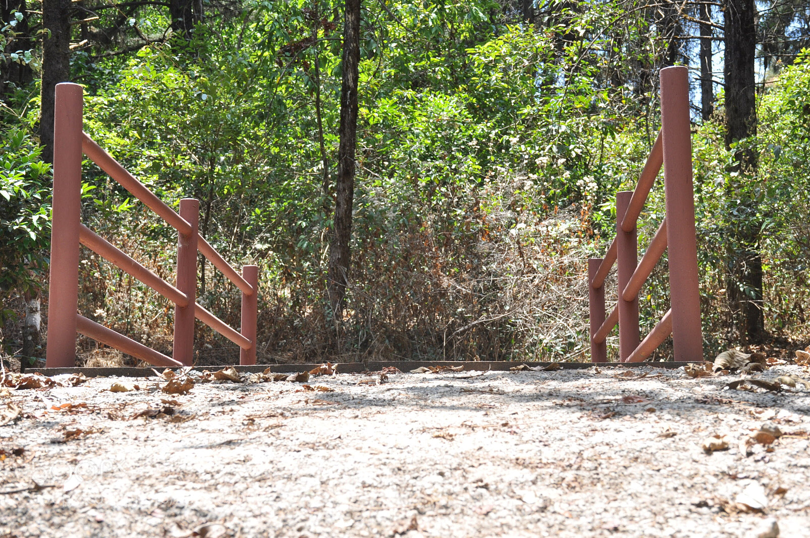 Nikon D90 sample photo. My calling... photography