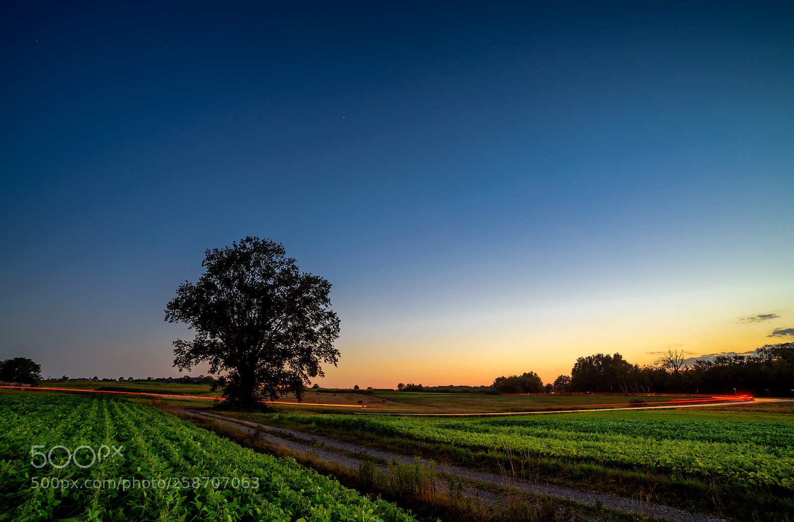 Nikon D750 sample photo. Countryside photography