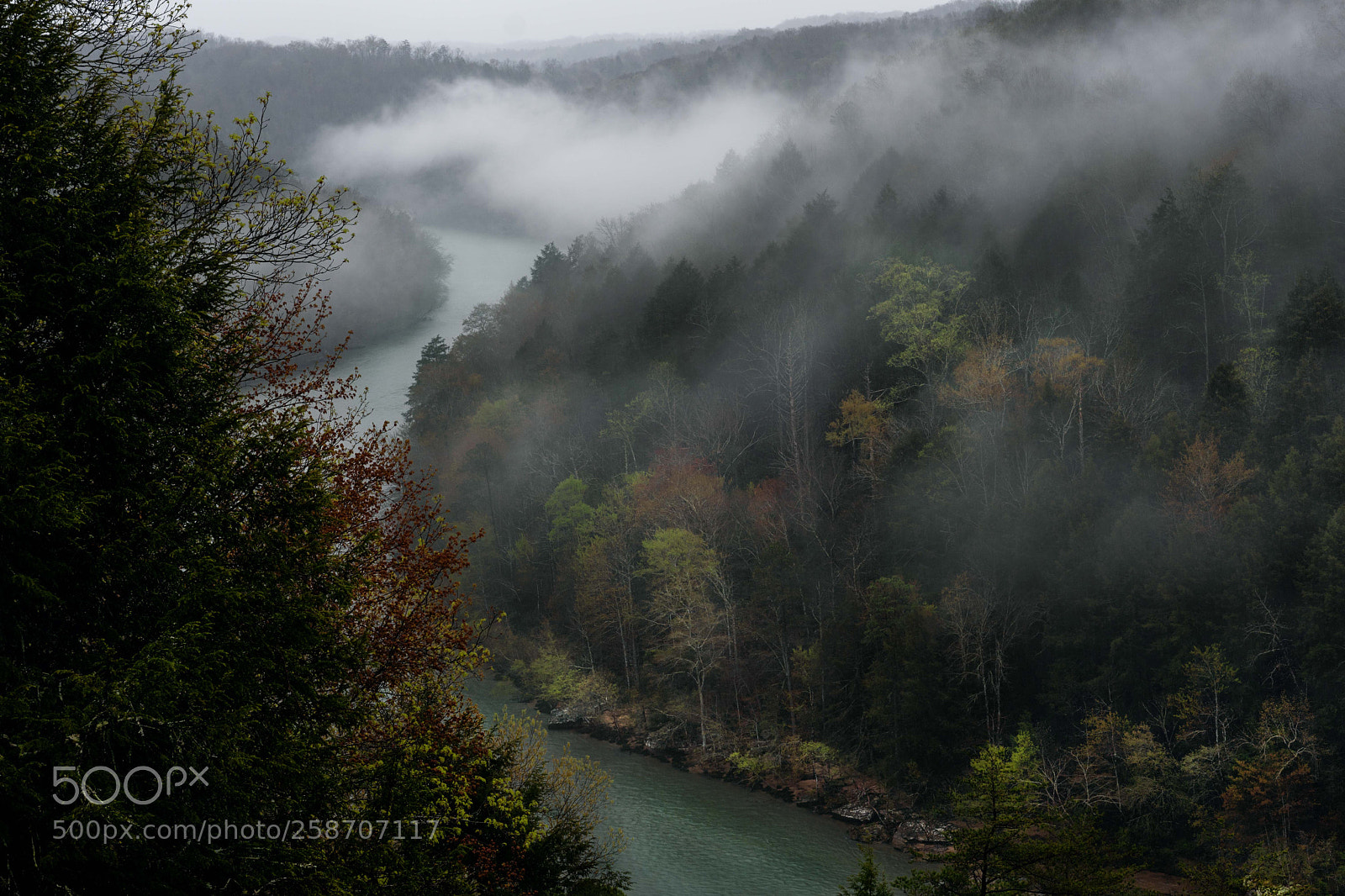 Sony a6300 sample photo. Kentucky morning... photography